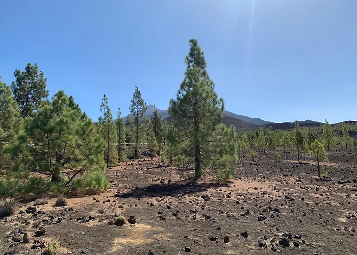 Sunny Tenerife, Cristianos, * Los Cristianos (Tenerife)