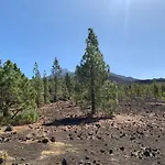 Sunny Tenerife, Cristianos, * Los Cristianos (Tenerife)