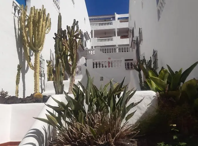 Апартаменты Sunny Tenerife, Cristianos, Лос Кристианос